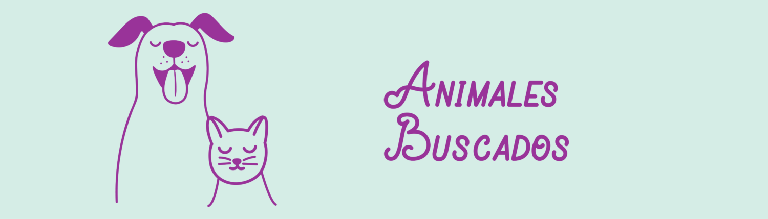 Carrusel-LP_Animales Buscados