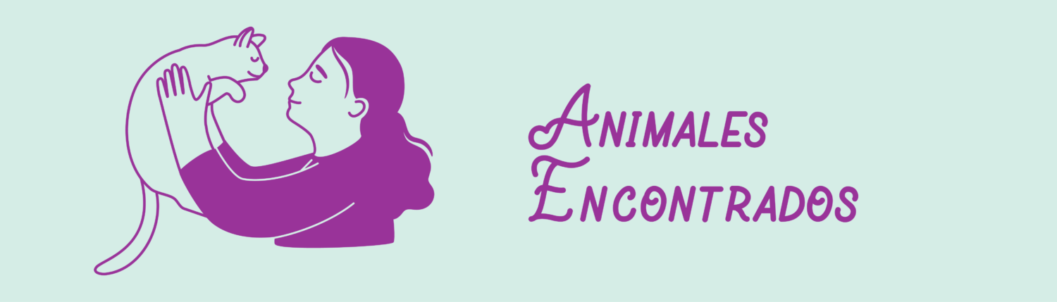 Carrusel-LP_Animales Encontrados